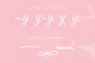 Lucy Carter Script Font by Rillatype — Script Handwritten Font — thumbnail 6