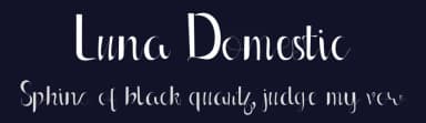 Luna Domestic by Irfan Hidayat — Script Handwritten Font — thumbnail 2