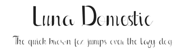 Luna Domestic by Irfan Hidayat — Script Handwritten Font