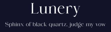 Lunery by ToniStudio — Serif Font — thumbnail 2