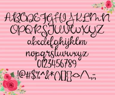 Mabel Rose Font by Illustration Ink — Script Handwritten Font — thumbnail 2