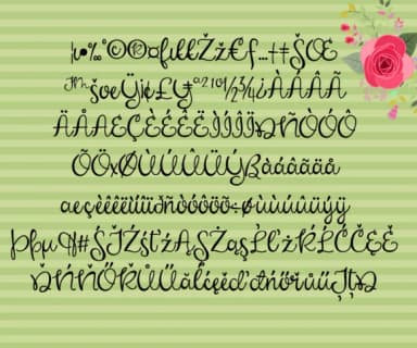 Mabel Rose Font by Illustration Ink — Script Handwritten Font — thumbnail 3