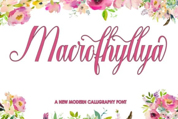 Macrofhyllya Script Font by studioguntur — Script Handwritten Font