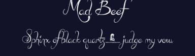 Mad Beef by JSH creates — Script Handwritten Font — thumbnail 2