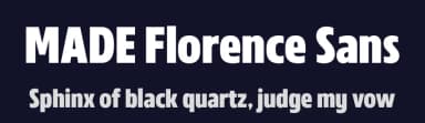MADE Florence Sans by MadeType — Sans Serif Font — thumbnail 2