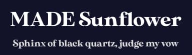 MADE Sunflower by MadeType — Serif Font — thumbnail 2