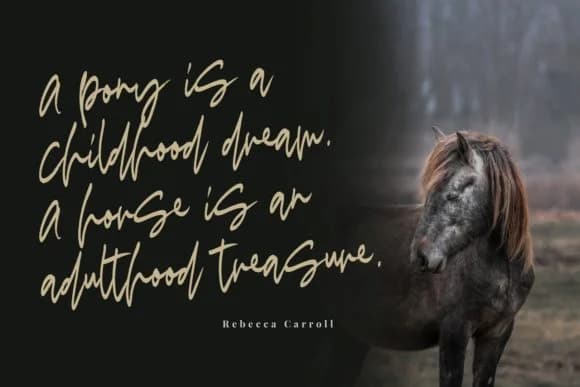 Madigel Font by Mas Anis — Script Handwritten Font