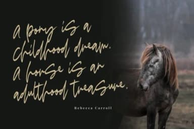 Madigel Font by Mas Anis — Script Handwritten Font — thumbnail 1