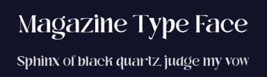 Magazine Type Face by Invitara — Serif Font — thumbnail 2
