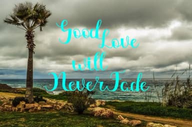 Magdalen Font by Rt Creative — Script Handwritten Font — thumbnail 4