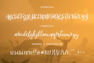 Magdolena Font by Pasha Larin — Script Handwritten Font — thumbnail 7