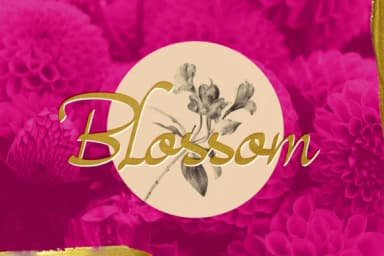 Magenta Rose Font by diqtam — Script Handwritten Font — thumbnail 5