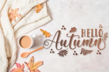 Magic Winter Trio Font by Almeera Studio — Script Handwritten Font — thumbnail 2