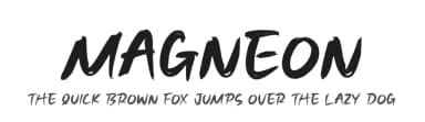Magneon by Perspectype Studio - Letterena.com — Script Handwritten Font — thumbnail 1