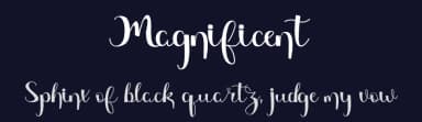 Magnificent by Deniz86 — Script Handwritten Font — thumbnail 2