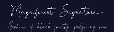 Magnificent Signature by Bluestype Studio — Script Handwritten Font — thumbnail 2