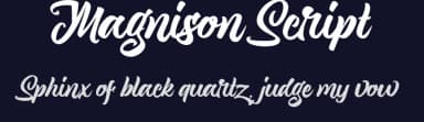 Magnison Script by Dirtyline Studio — Script Handwritten Font — thumbnail 2