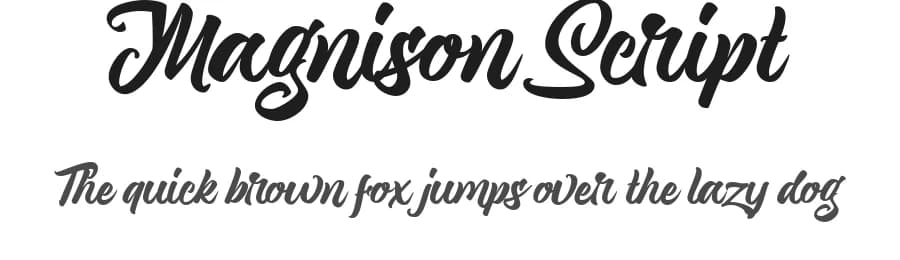 Magnison Script by Dirtyline Studio — Script Handwritten Font — preview 1