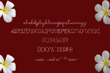 Magnolia Font by saidi studio — Script Handwritten Font — thumbnail 4