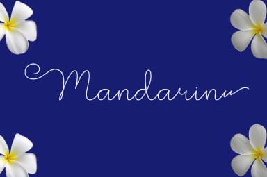 Magnolia Font by saidi studio — Script Handwritten Font — thumbnail 5