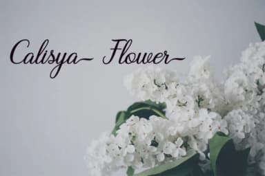 Magnolia Font by Encolab by Encolab — Script Handwritten Font — thumbnail 3