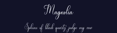 Magnolia by MJB Letters — Script Handwritten Font — thumbnail 2
