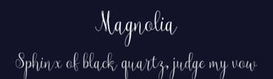 Magnolia by Pollem Studio — Script Handwritten Font — thumbnail 2