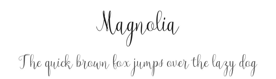Magnolia by Pollem Studio — Script Handwritten Font — preview 1