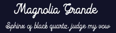 Magnolia Grande by Hanzel Space — Script Handwritten Font — thumbnail 2