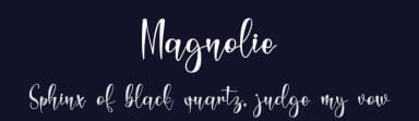 Magnolie by Letterafa Studio — Script Handwritten Font — thumbnail 2