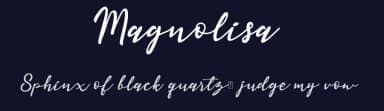 Magnolisa by RT Studio — Script Handwritten Font — thumbnail 2