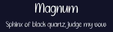 Magnum by Belina Studio — Script Handwritten Font — thumbnail 2