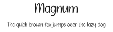 Magnum by Belina Studio — Script Handwritten Font — thumbnail 1