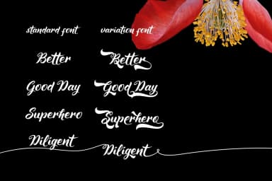 Maheera Font by Cove703 — Script Handwritten Font — thumbnail 4