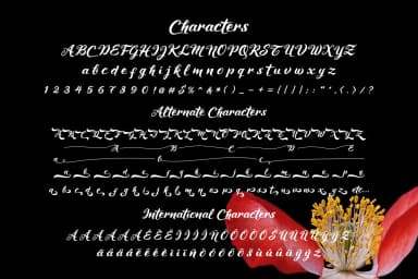 Maheera Font by Cove703 — Script Handwritten Font — thumbnail 8