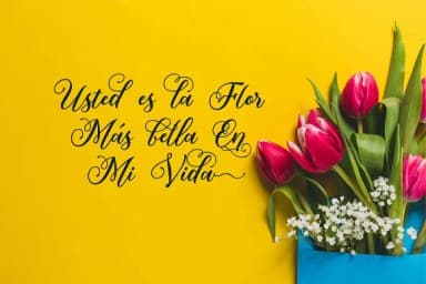 Mahligai Font by Olexstudio — Script Handwritten Font — thumbnail 4