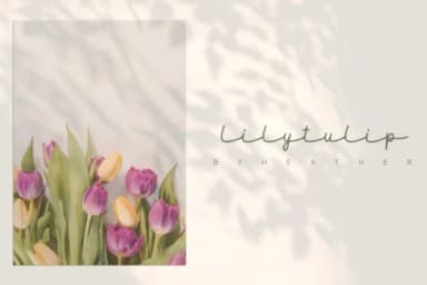 Maidenhair Font by Katario Studio — Script Handwritten Font — thumbnail 7