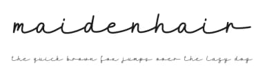 Maidenhair by Katario Studio — Script Handwritten Font — thumbnail 1