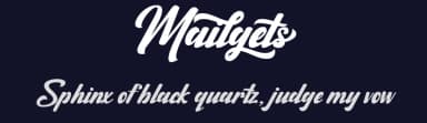 Mailgets by MJB Letters — Script Handwritten Font — thumbnail 2
