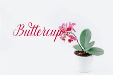 Maillane Font by faisal_Alfaraby — Script Handwritten Font — thumbnail 5