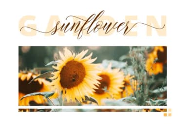 Maisharah Font by FadeLine — Script Handwritten Font — thumbnail 4