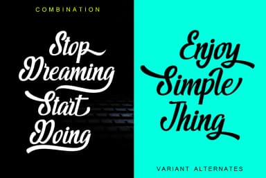 Majestic Font by Vegas Type — Script Handwritten Font — thumbnail 7