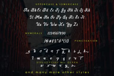 Majestic Font by Vegas Type — Script Handwritten Font — thumbnail 9