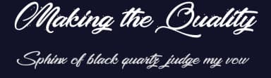 Making the Quality by Octotype  | Thomas Boucherie — Script Handwritten Font — thumbnail 2