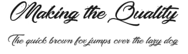 Making the Quality by Octotype  | Thomas Boucherie — Script Handwritten Font — thumbnail 1