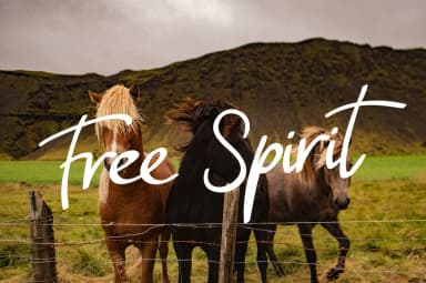 Malanya Font by ChekArt — Script Handwritten Font — thumbnail 3