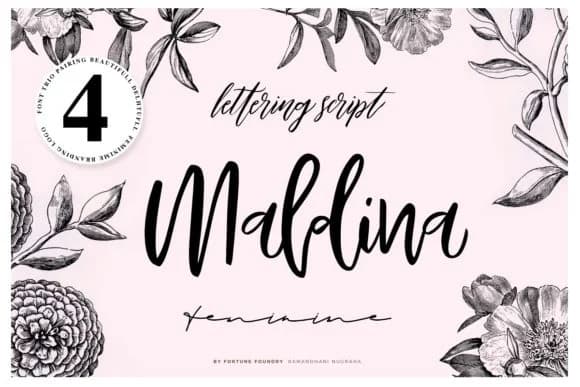 Maldina Font by ramandhaninugraha — Script Handwritten Font