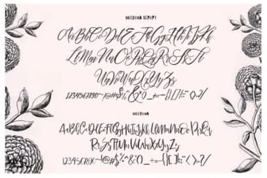Maldina Font by ramandhaninugraha — Script Handwritten Font — thumbnail 9