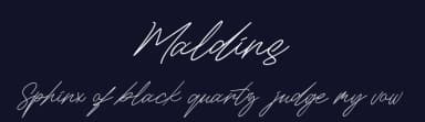 Maldins by InspiraType — Script Handwritten Font — thumbnail 2