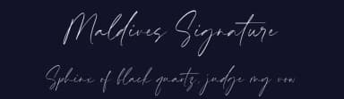 Maldives Signature by Timur Type — Script Handwritten Font — thumbnail 2